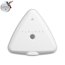 FD25M White FD25M White